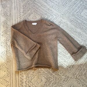 Comfy & Elegant Anthropologie V-Neck Sweater (S) in Coffee